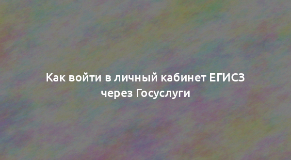 Как войти в личный кабинет ЕГИСЗ через Госуслуги